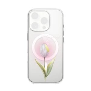 Tulipan
