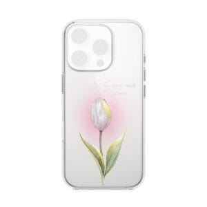 Tulipan